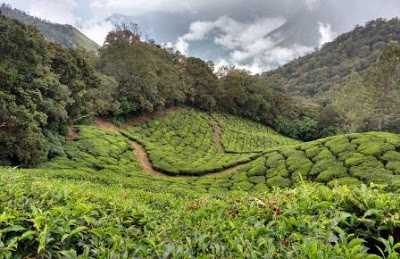 All About Canvas Printing