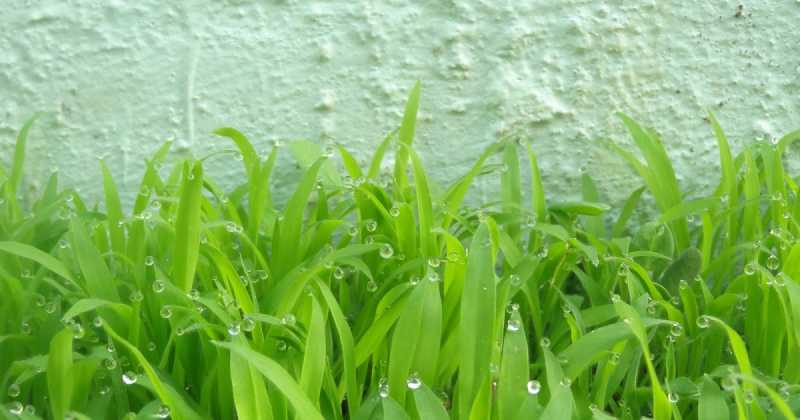 All About Photography!