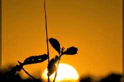 All that matters is \"Beginning\"