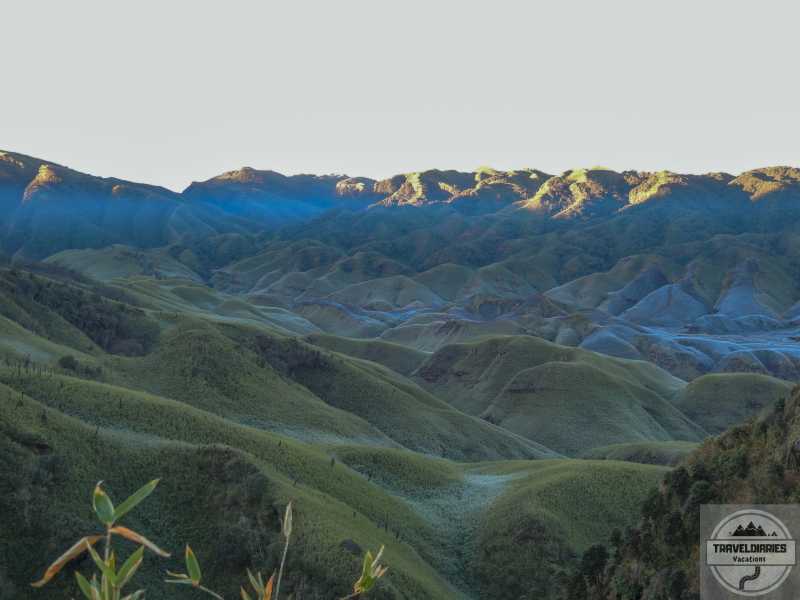 All You Need To Know To Plan Your Trek To Dzouku Valley In Nagaland