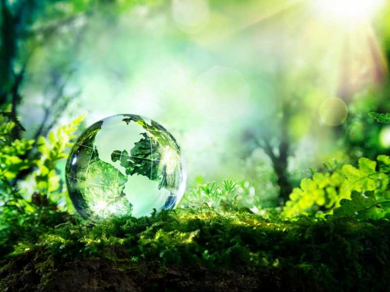All You Need To Know About World Environment Day 2019! - Trendpickle