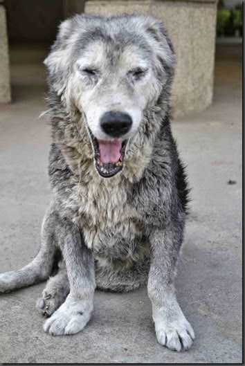 All Your Prayers That You Can Spare….