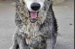 All your prayers that you can spare….