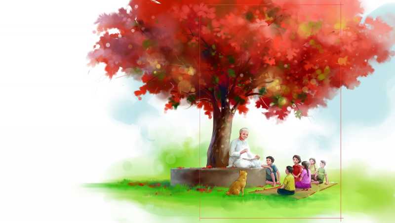 Aloktoru : Cover And Illustrations