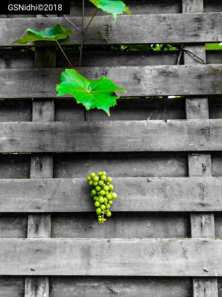 Alone… #WORDLESSWEDNESDAY