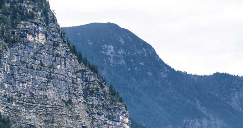 Am Disturbed - Am Disturbia