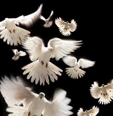 Aman Ki Asha: An Indo-pak Peace Initiative