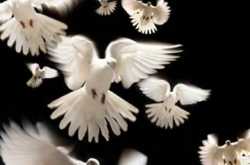 Aman Ki Asha: an Indo-pak peace initiative