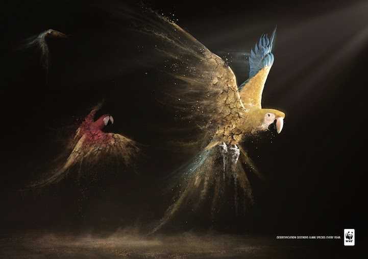 Amazing Ad Campaign By WWF: Desertification Disintegrates Animals