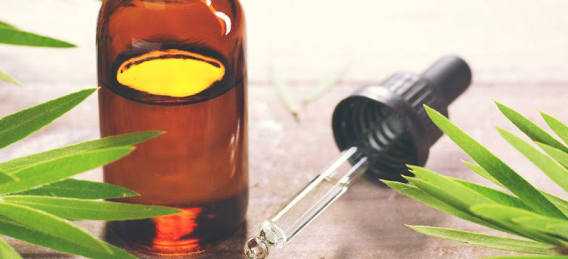 Amazing Benefits Of Tea Tree Oil For Skin, Hair And Health
