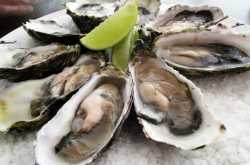 Amazing Foods to Boost Testosterone Level.. 