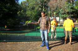 Amazing Journey - Down Under and Kiwis