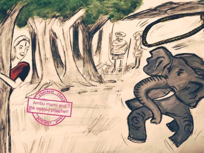 Ambu Mami And The Injured Poacher. - THE LAV MUSE