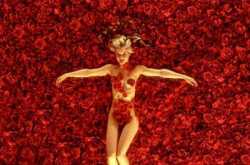 American Beauty