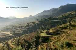 Amidst Stone Temples and Deodar Forests in Jageshwar, Uttarakhand