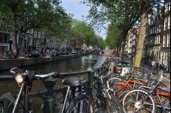 Amsterdam: the 5 must-dos…