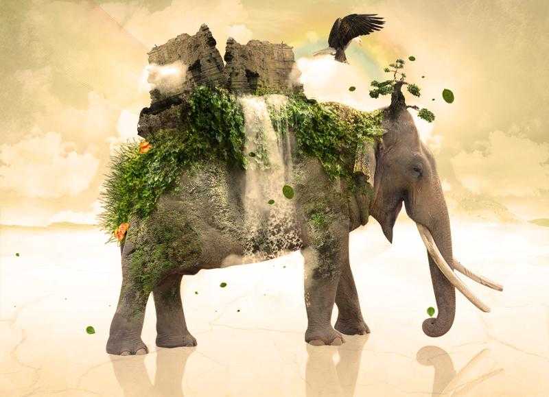 An Attribute To The Nature