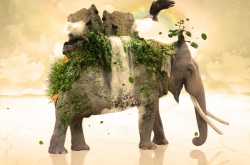 An Attribute to The Nature