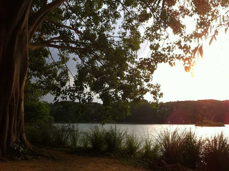 An Evening Conversation [Short Poem]