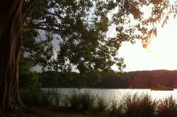 An Evening Conversation [Short Poem]