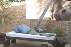 An Evening with Antiquity