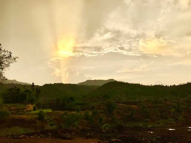An Evening With A Million Fireflies In Purushwadi, Maharashtra