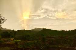 An Evening with a Million Fireflies in Purushwadi, Maharashtra