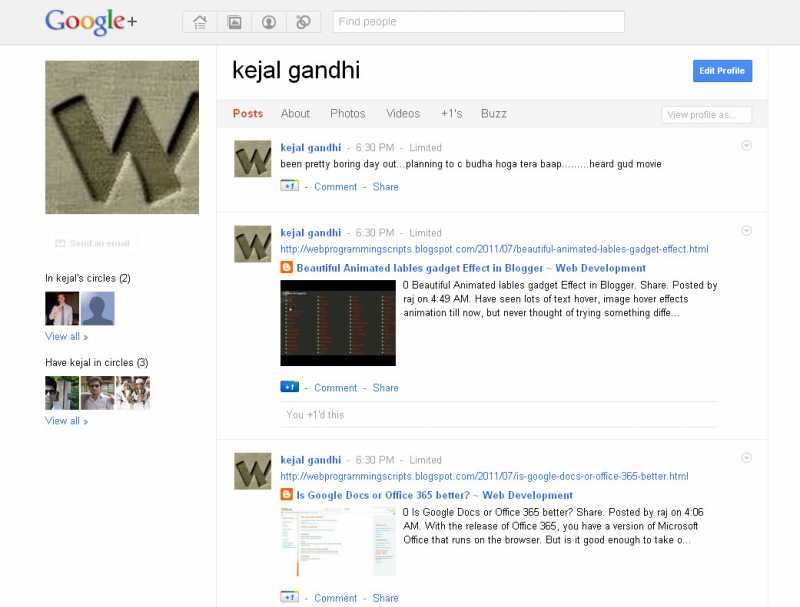 An Overview To Google Plus Features