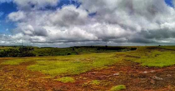 An Unknown Plateau Of Flowers - Masai Pathar, Kolhapur, Maharashtra 