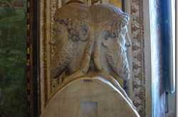 An Unquiet Mind of A Social Geek