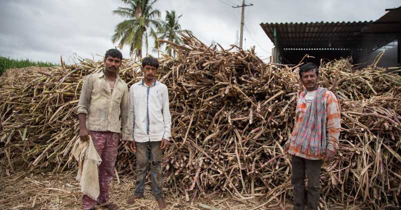 An Aalemane In Hampi