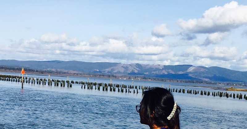 An Attempt To Fathom The Ocean