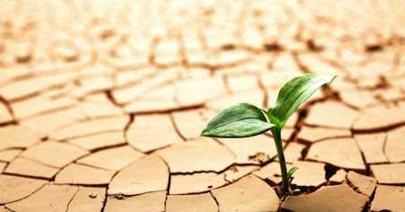 An Attempt To Put An End To The Water Wars, Water Conservation! 