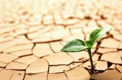 An attempt to put an end to the water wars, Water Conservation! 