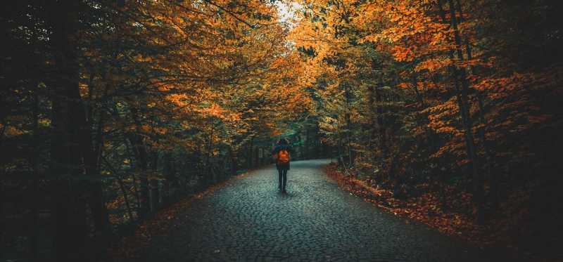 An Earth with No Sky…