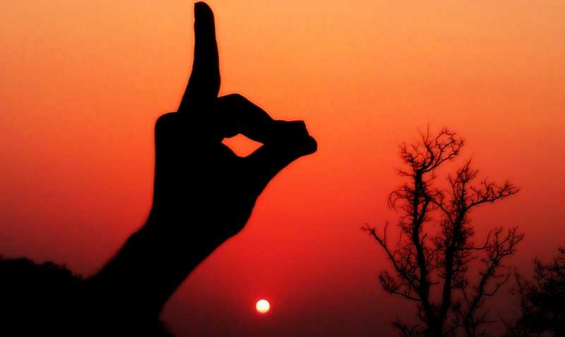 An Evening With A Forest Guard