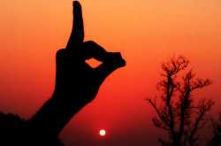 An evening with a forest guard