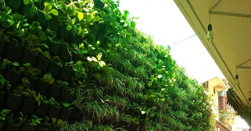 An Intentional Visit To "By Chance" : Brigade Road 