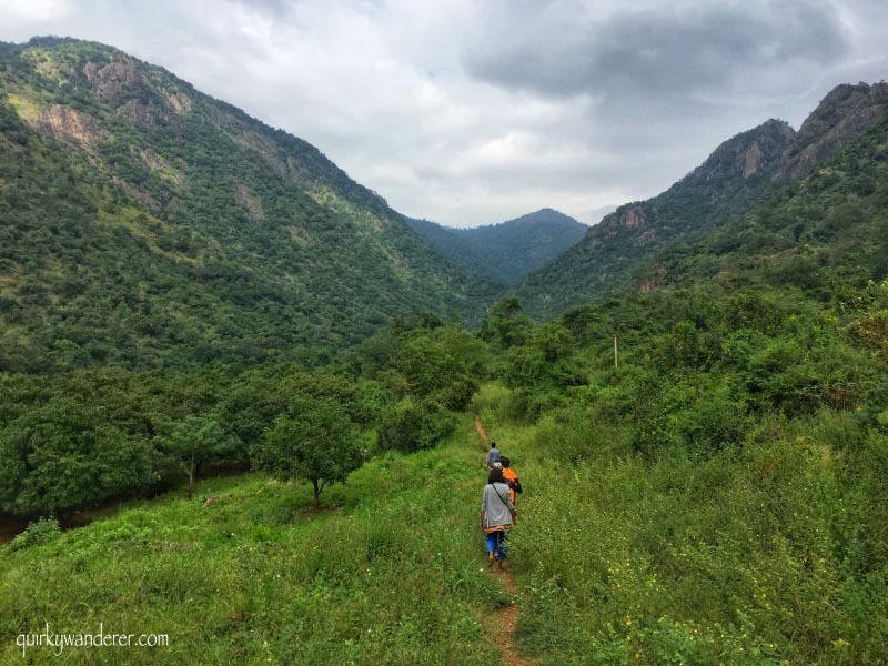 An Offbeat Trek In Kamarajar Valley Tamil Nadu