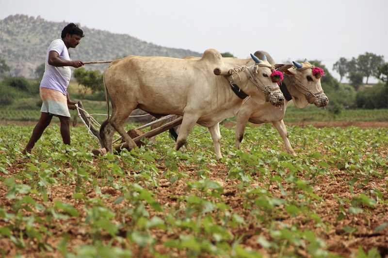 An Under Estimated Job Which Is Of Utmost Importance