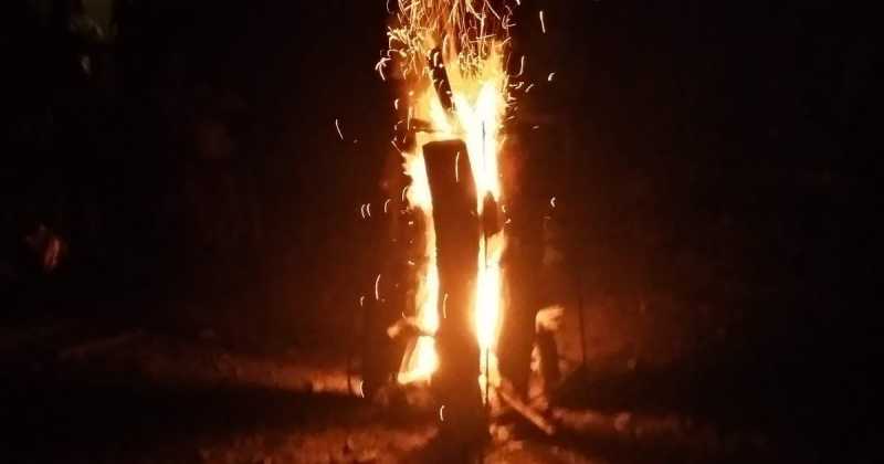 An Unforgettable Experience At Wayanad Petal Resorts