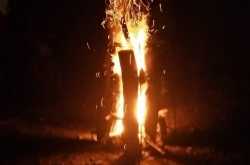 An unforgettable experience at Wayanad Petal Resorts