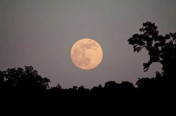 An Update On The June 2014 Contest 