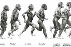 And then there was one