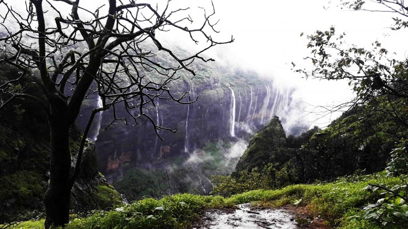 Andharban-Trail Through The Dark Foggy Jungle