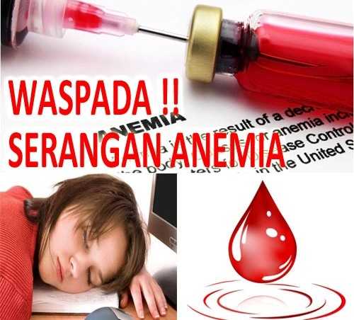 Anemia Sembuhkan Dengan Susu Kambing Etawa