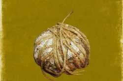 Angamaly Diaries (2017)