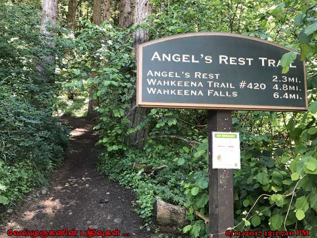 Angels Rest Hiking Oregon