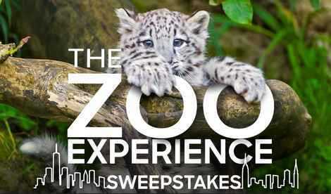 Animal Planet The Zoo Sweepstakes Code Word 2019