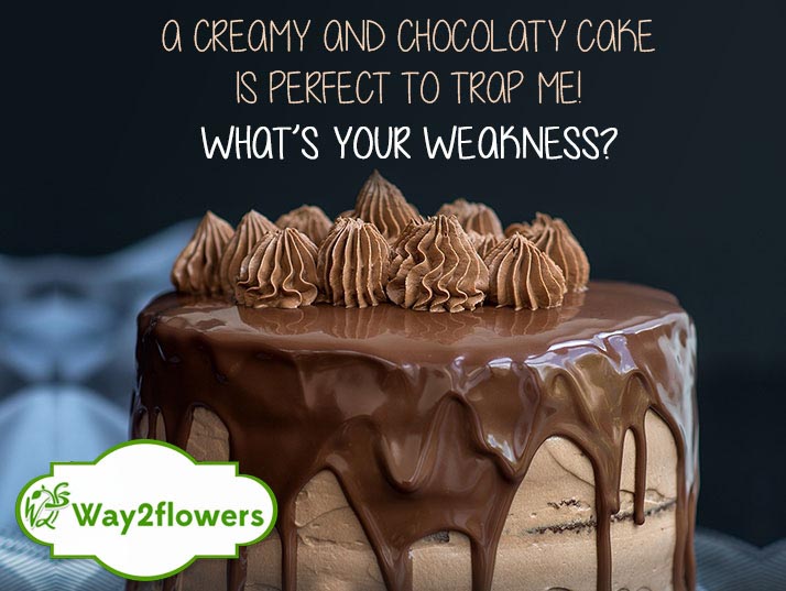 Anniversary Is The One Better Time To Stop For Saying “I DO”